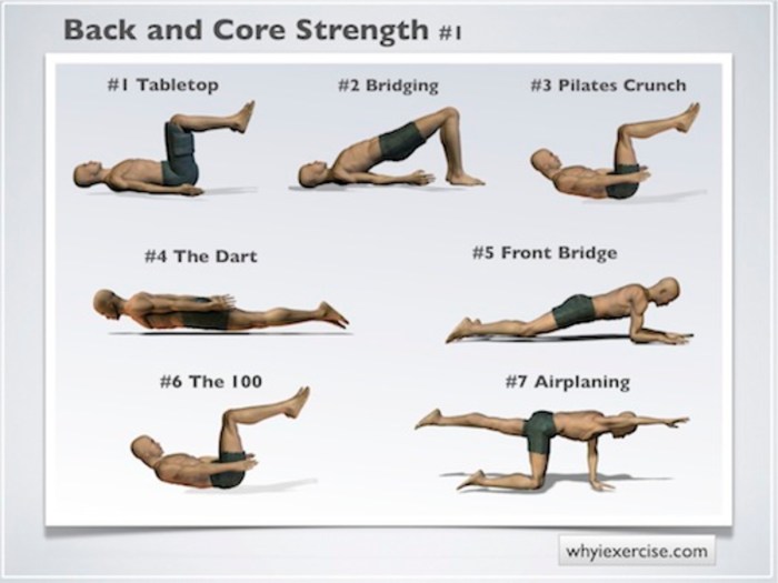 Exercises for muscular strength