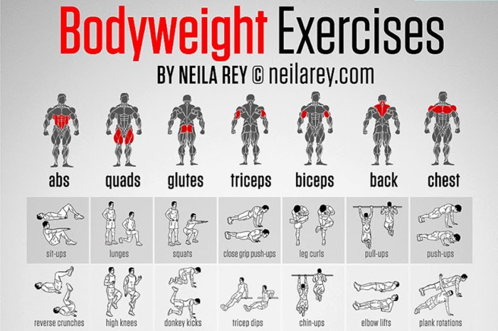 Most effective weight lifting exercises