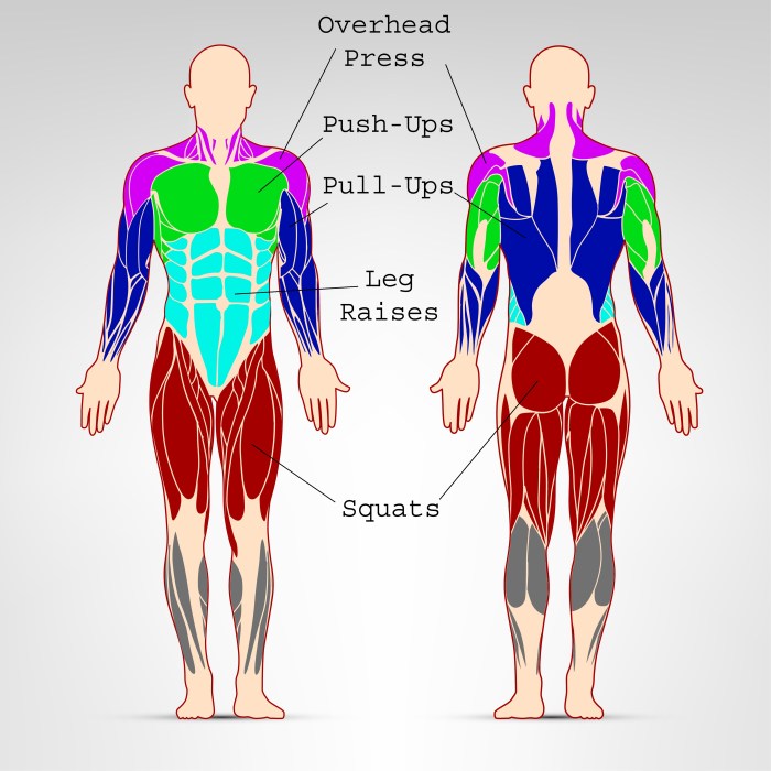 Strength muscle training