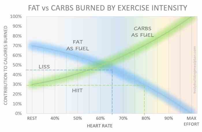 Weight training to burn fat