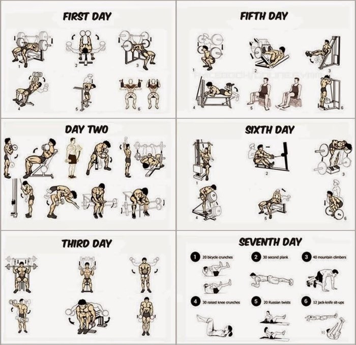 Best workout program for strength