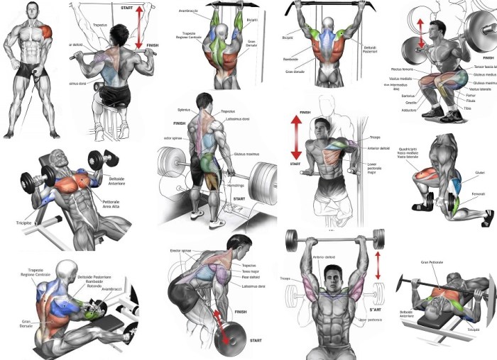 Strength and muscle building workout