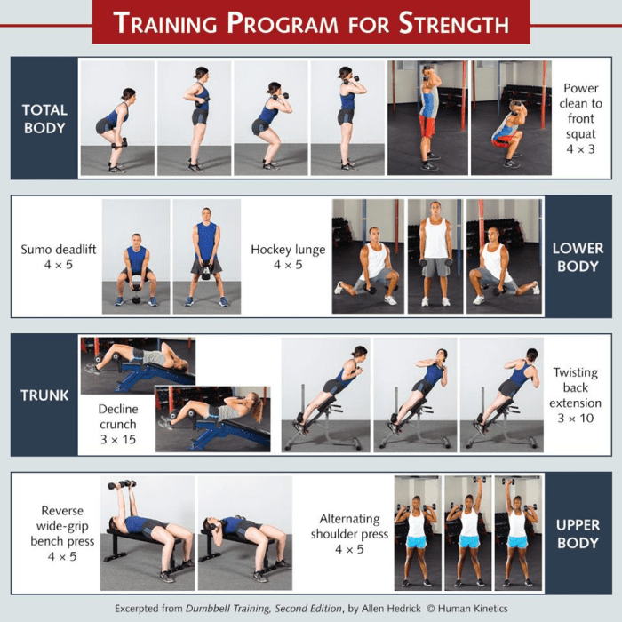 Strength Weight Training Program: A Guide to Building Strength and Muscle