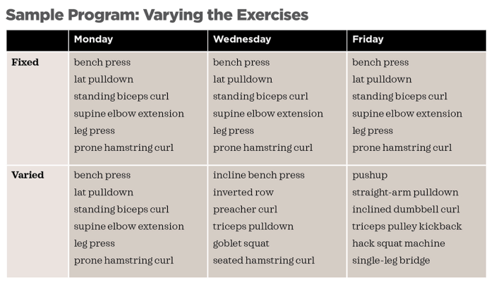 Resistance Training Methods: A Comprehensive Guide to Building Strength, Muscle, and Endurance