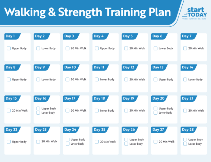 Basic weight training plan