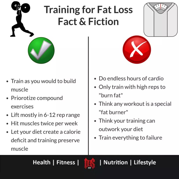 Loss plan fat training pdf rapid women fichier